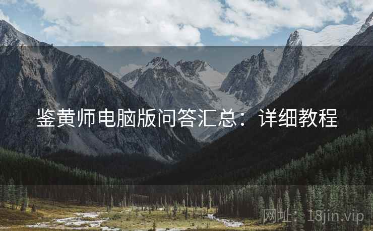 鉴黄师电脑版问答汇总：详细教程