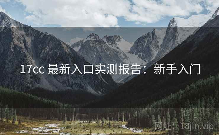 17cc 最新入口实测报告：新手入门