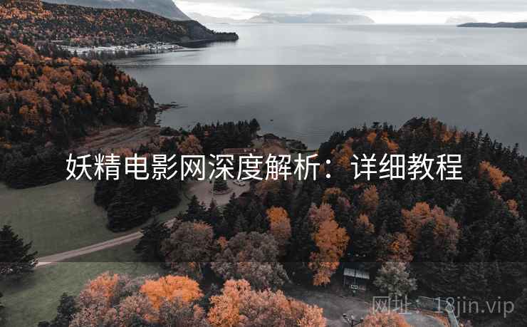 妖精电影网深度解析：详细教程