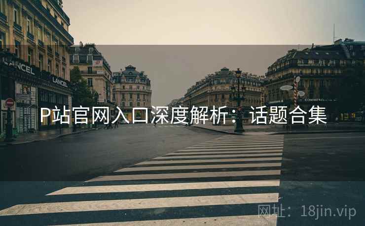 P站官网入口深度解析：话题合集
