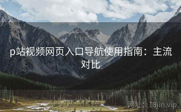 p站视频网页入口导航使用指南：主流对比