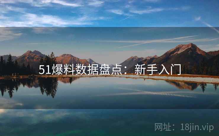 51爆料数据盘点：新手入门