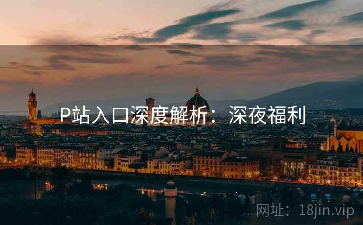 P站入口深度解析：深夜福利