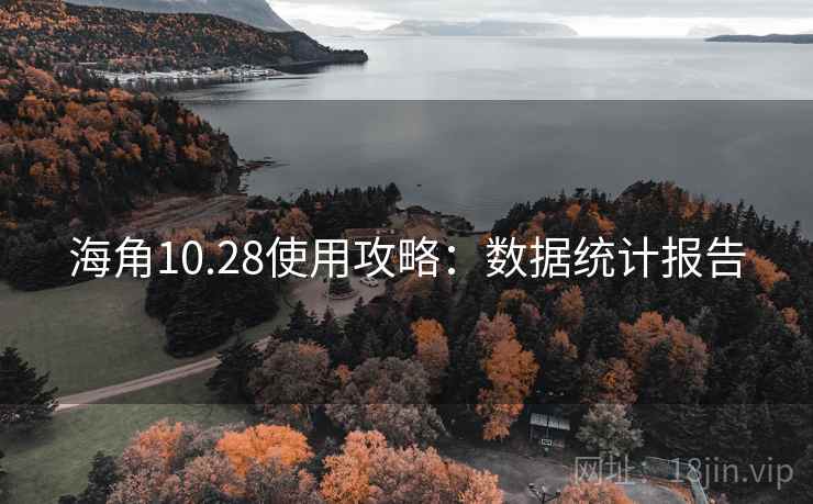海角10.28使用攻略：数据统计报告